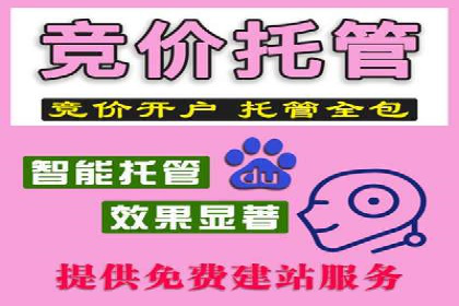 搜索引擎营销（SEM）的投放策略与效果评估——以某行业领先企业的案例分析